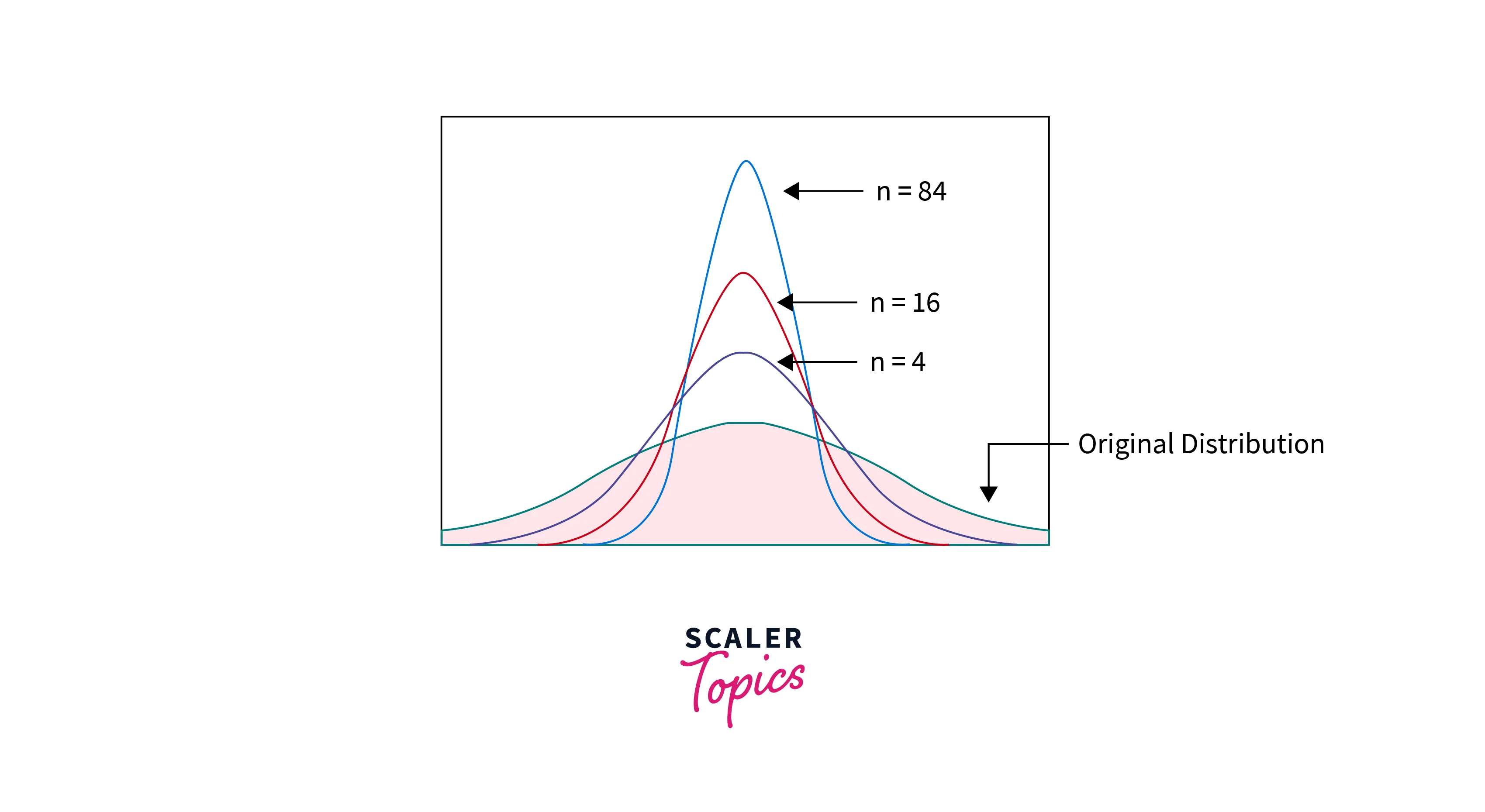 different sampling distribution of the mean based on different sample size