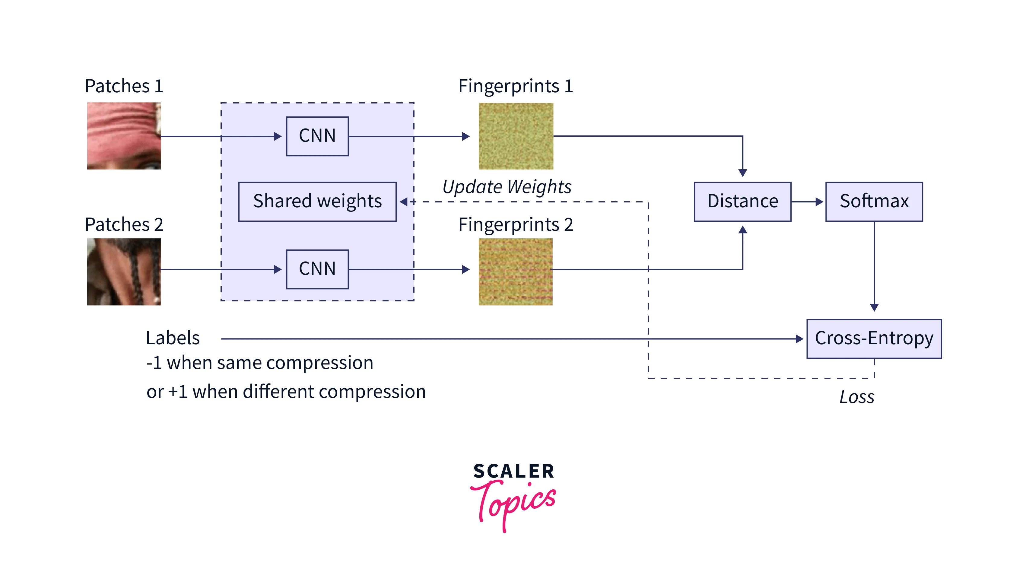 Fingerprint Recognition