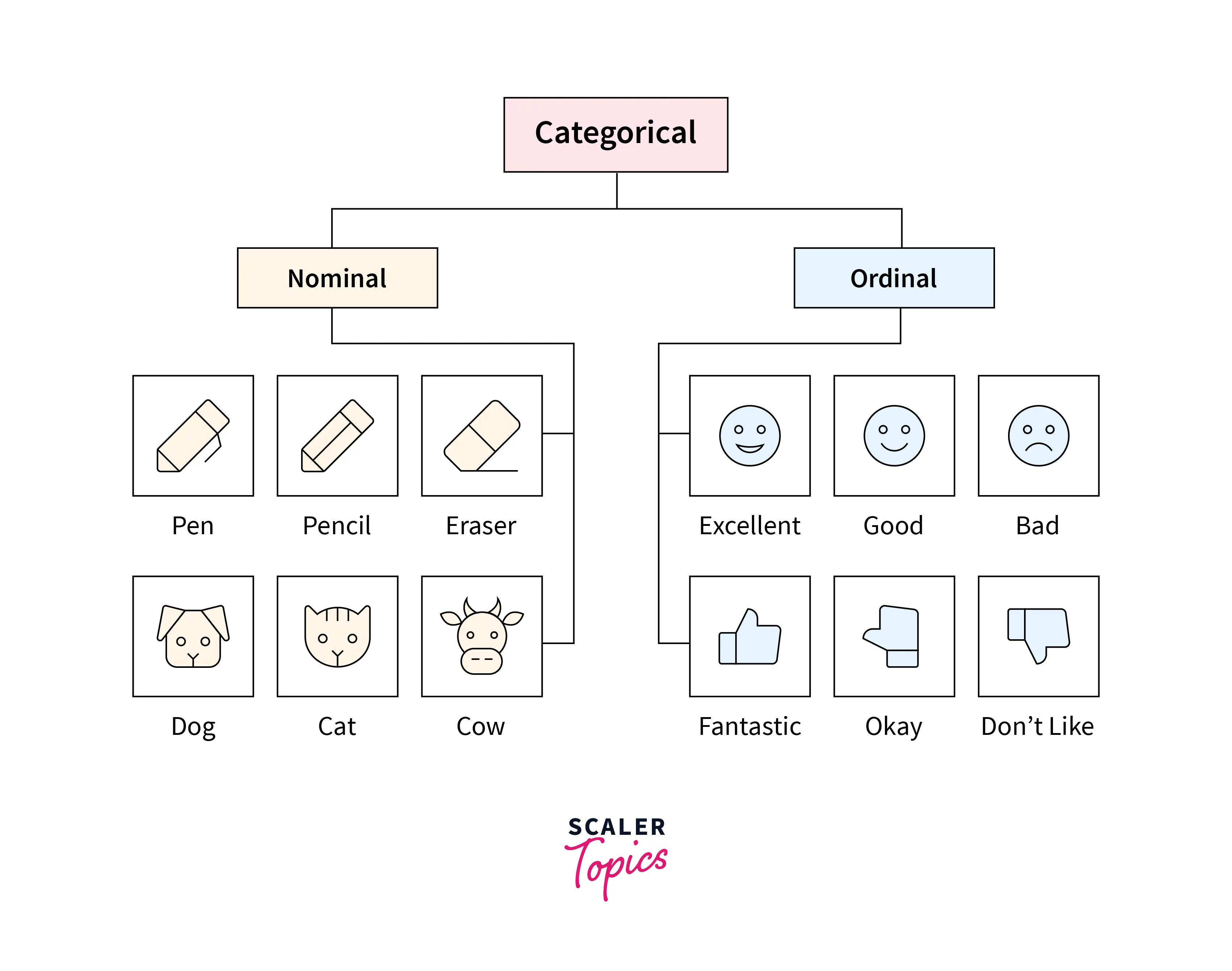 Categorical Variables