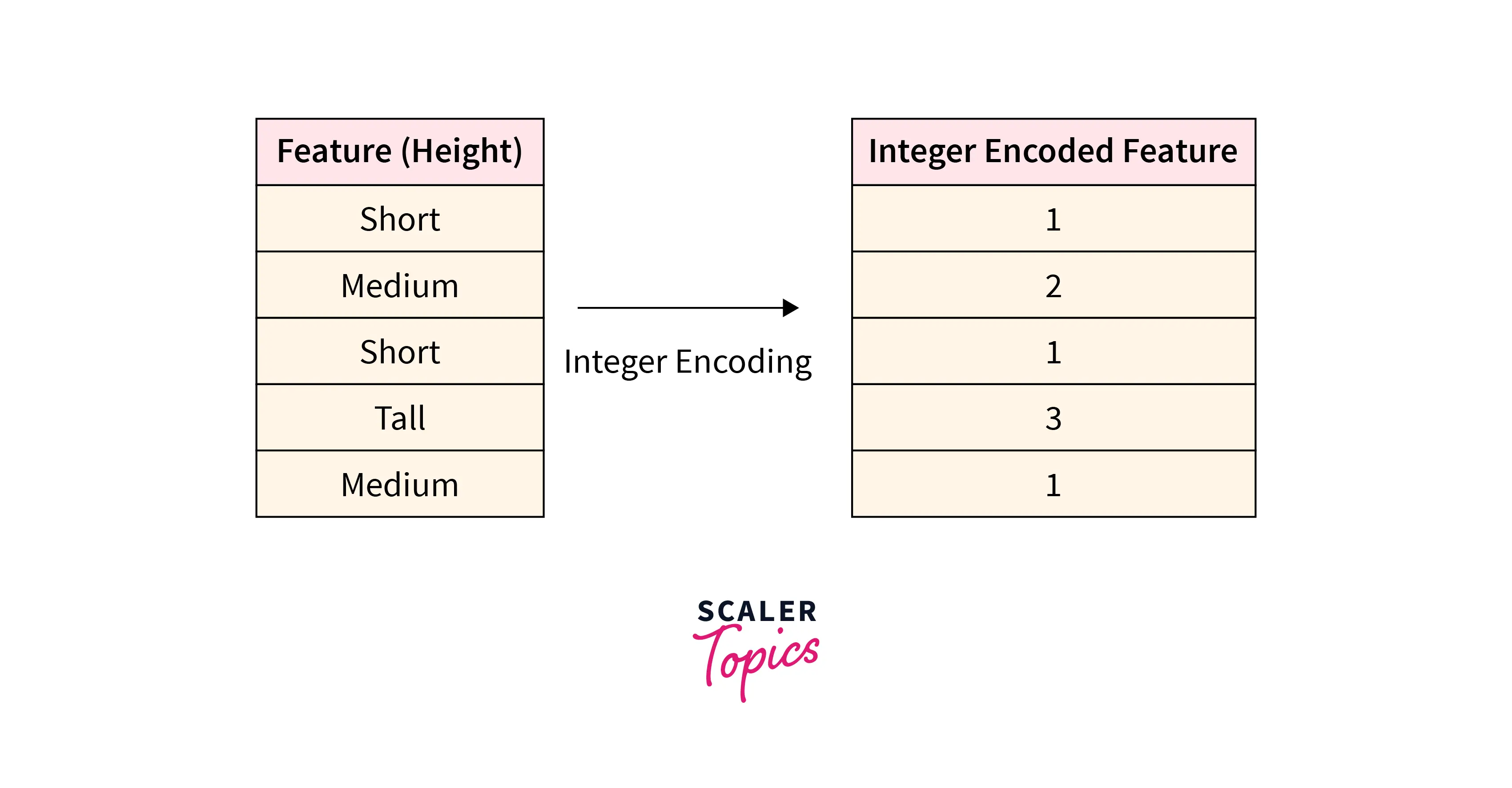 Convert Categorical Data to Numerical Data