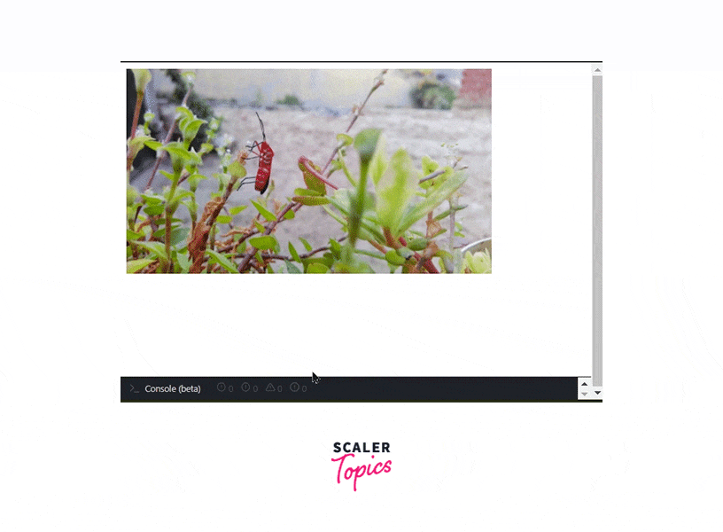 output for image with auto height