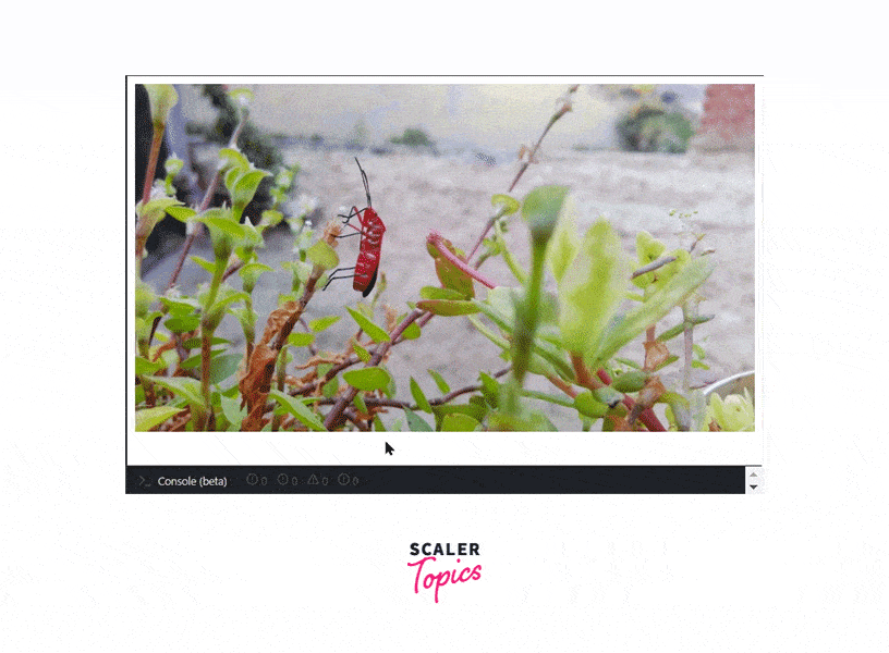 Output for img height and width