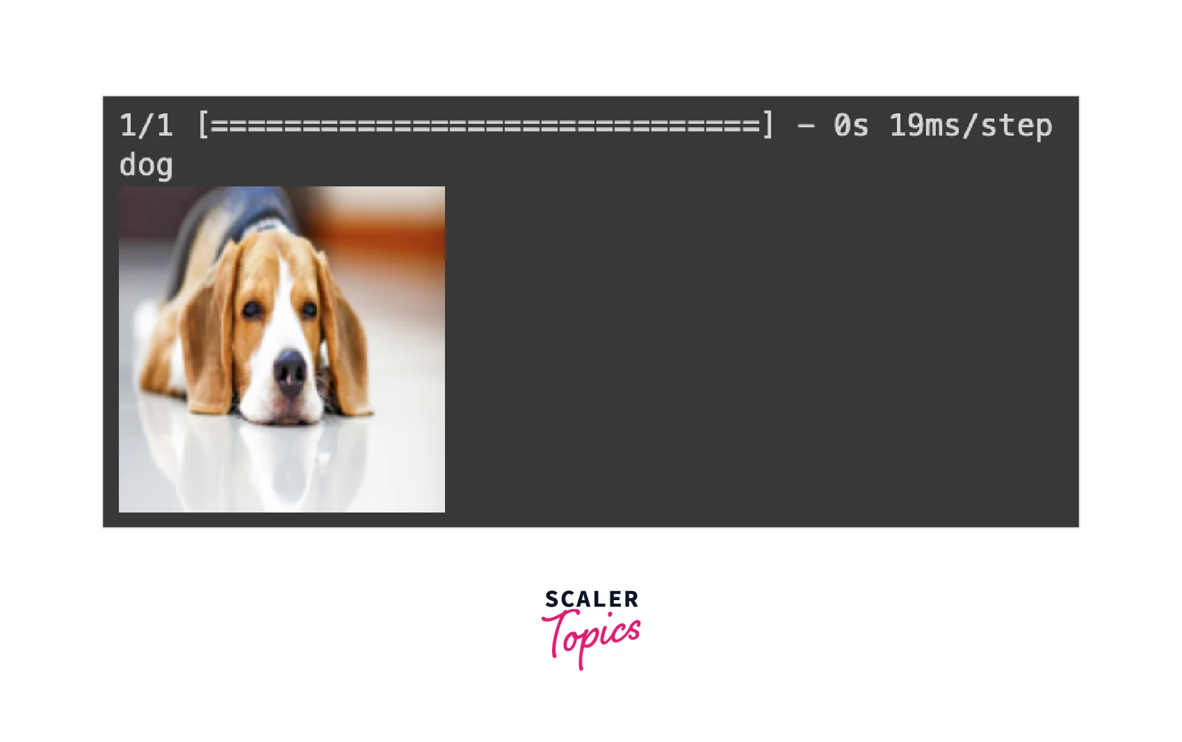 prediction-in-transfer-learning
