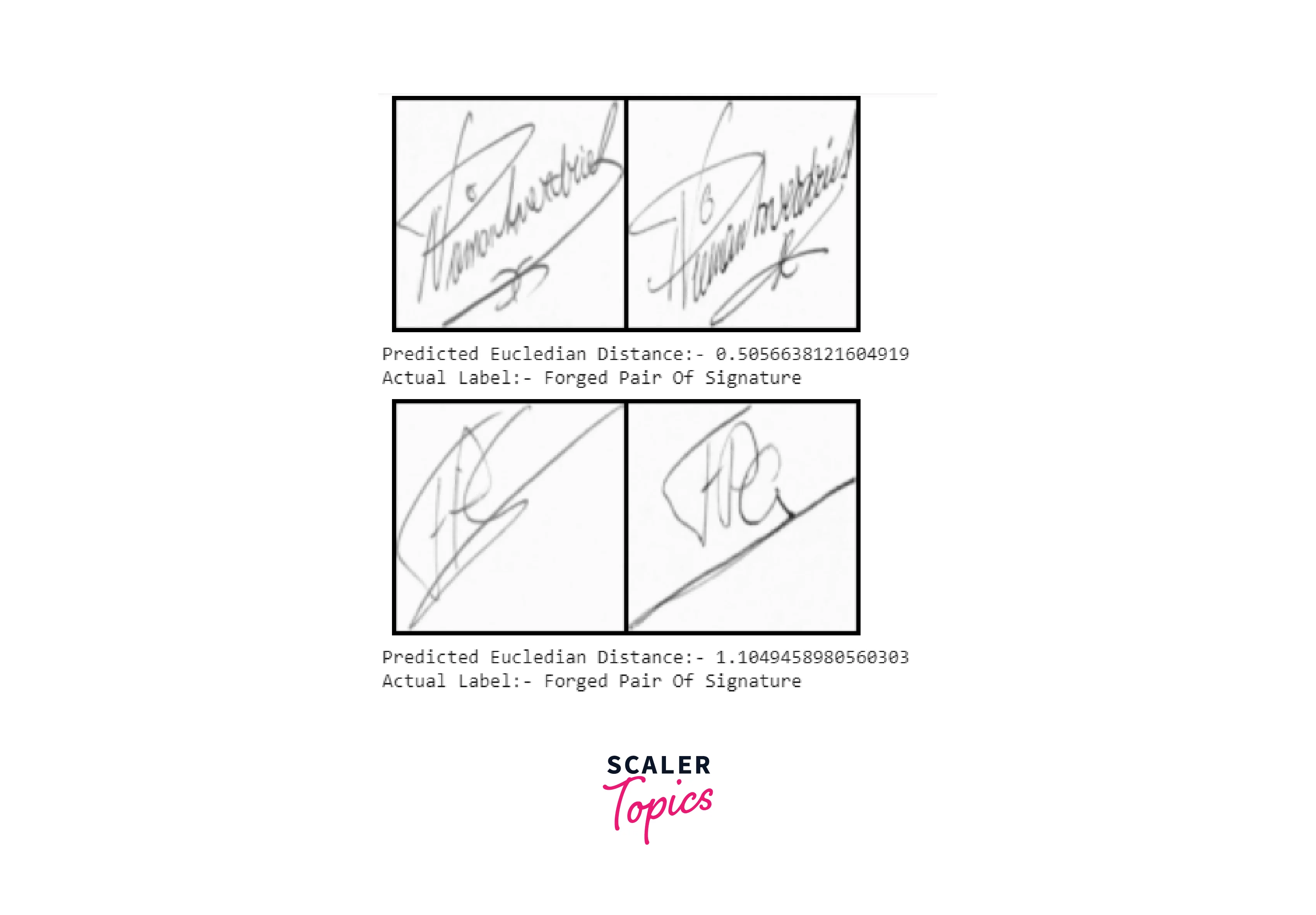 Signature Verification