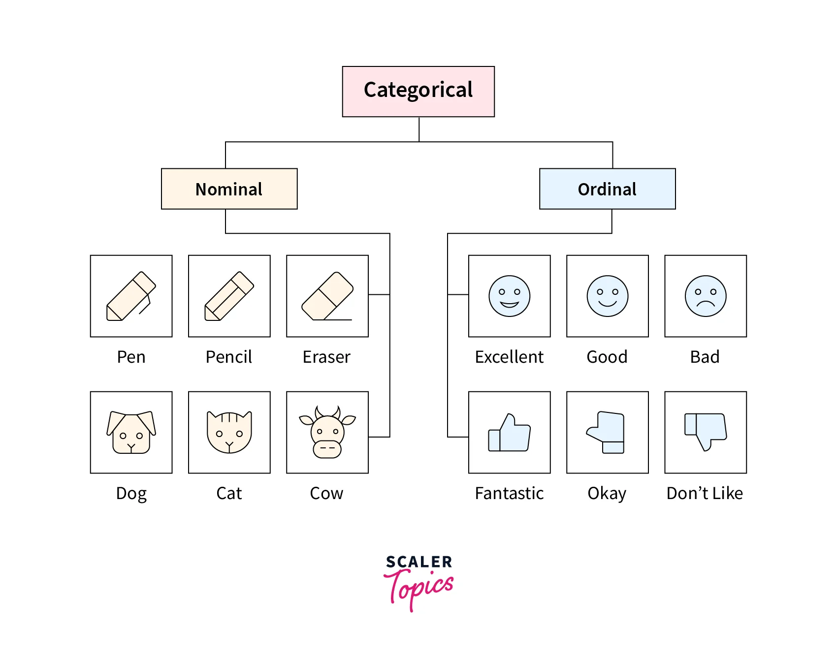 types of categorical variables