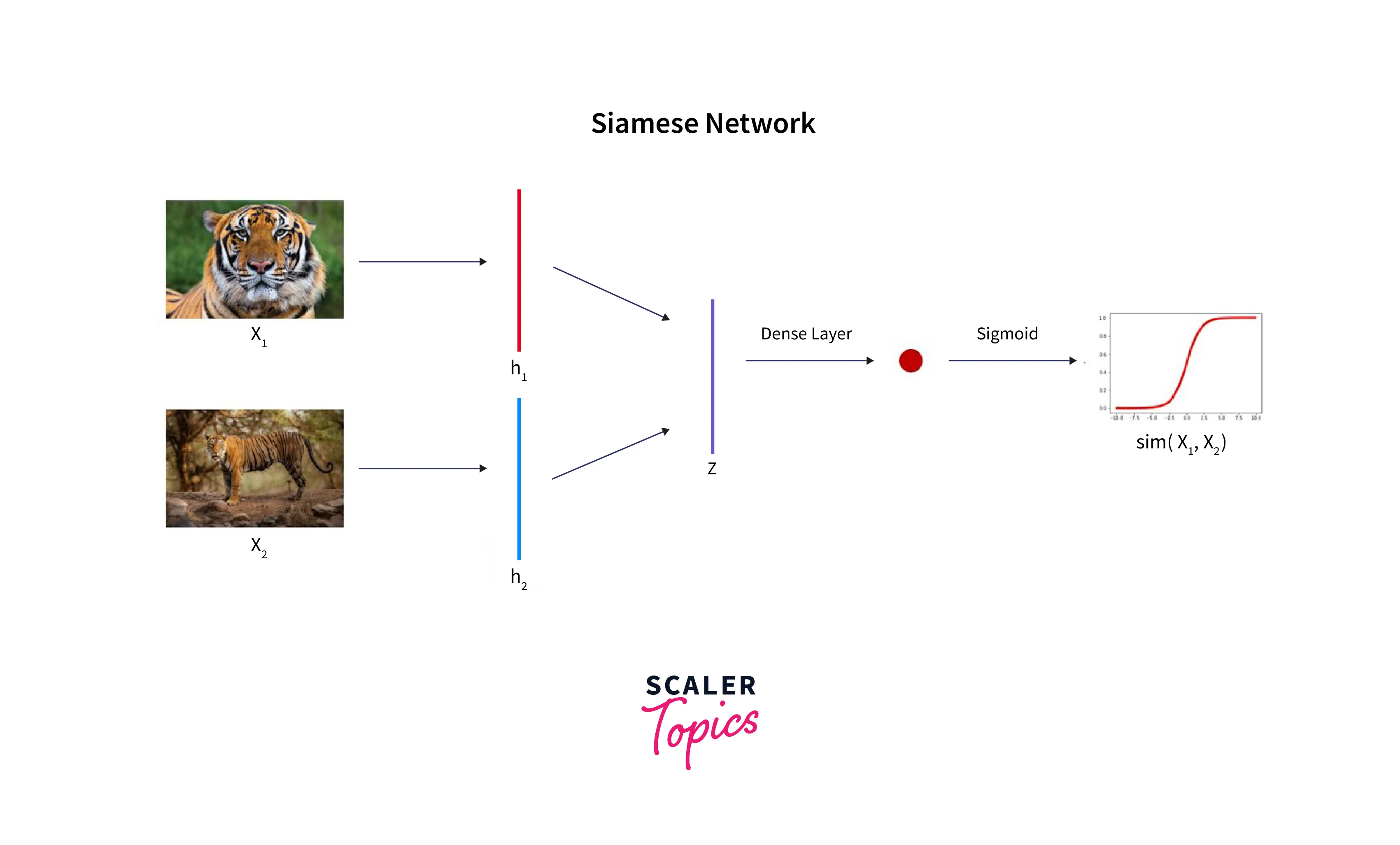 What Are Siamese Networks