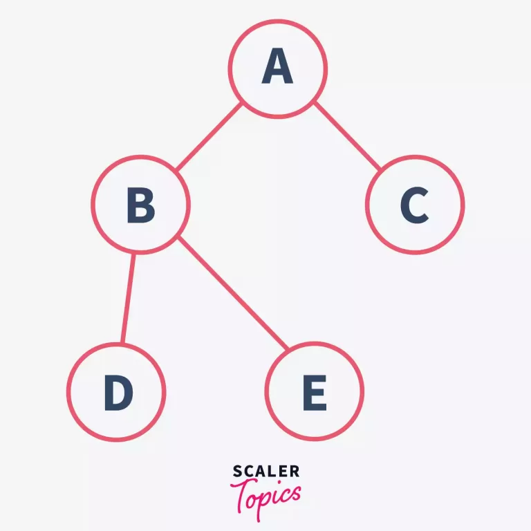 Binary Tree