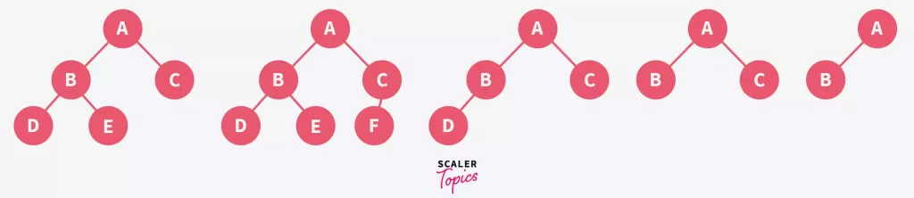 Complete Binary Tree