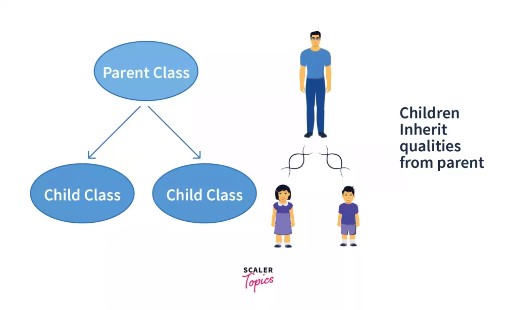 hierarchical inheritance in python