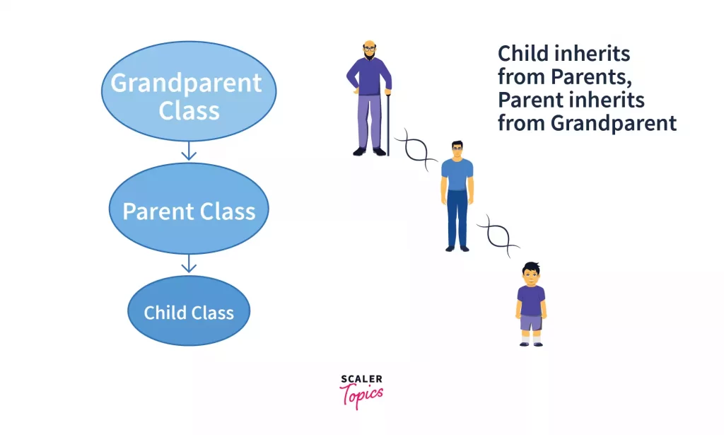 multi level inheritance in python