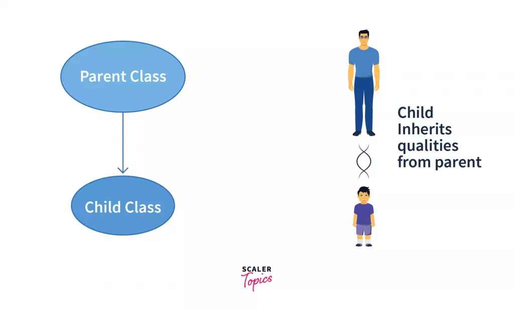 single inheritance in python